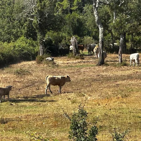 A Calata Porto Vecchio