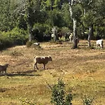 A Calata Porto Vecchio