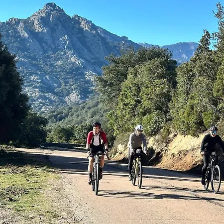 Дом отдыха A Calata *