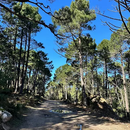 A Calata Ferienhaus Porto-Vecchio (Corsica)