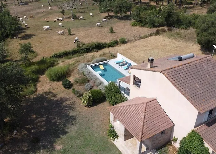 A Calata Сasa de vacaciones *