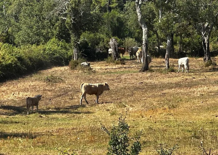 A Calata Porto Vecchio