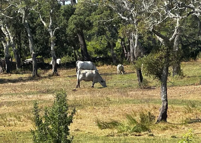 A Calata Porto-Vecchio (Corsica)