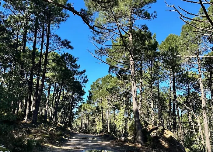 A Calata Vakantiehuis Porto-Vecchio (Corsica)